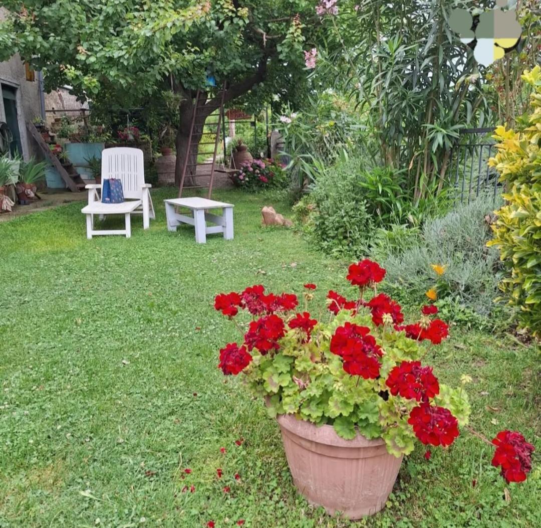 Vetulonia Romantica Buitenkant foto